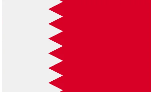 Bahrain flag – Wisdom Techno Solutions export market