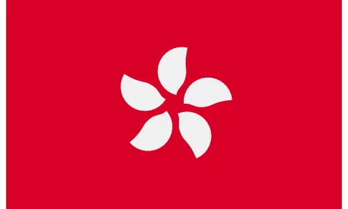 Hong Kong flag – Wisdom Techno Solutions export market