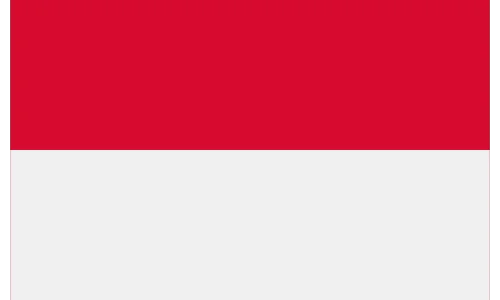 Indonesia flag – Wisdom Techno Solutions export market