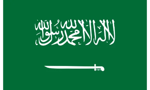 Saudi Arabia flag – Wisdom Techno Solutions export market