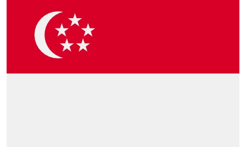 Singapore flag – Wisdom Techno Solutions export market